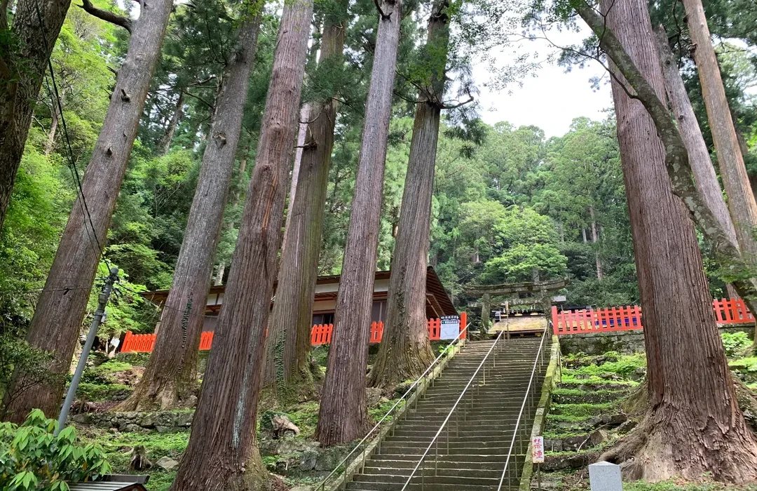 🌳 신시로 종합공원 (Shinshiro Comprehensive Park) 이미지 5